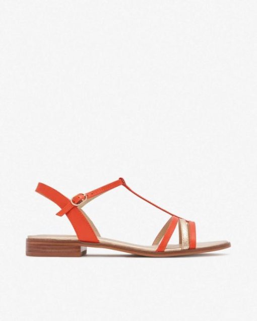 Ontrendwear.shopb0c519d45e 1